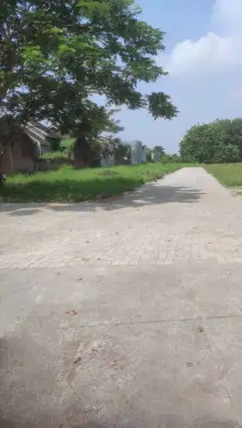 Tanah Kavling Murah Lokasi Karangbong Gedangan Sidoarjo
