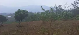 Di jual tanah murah sukamakmur bogor