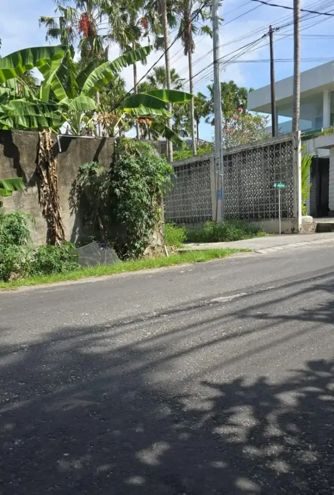 Tanah 785M2 di jln Utama Kayu Tulang Canggu Bali