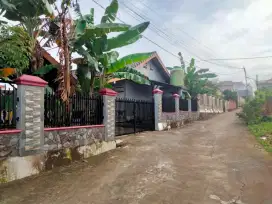 Disewakan bedeng murah
