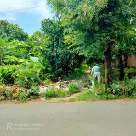 Dijual tanah kebun dekat kantor kecamatan, 50 m an dari jalan Provinsi
