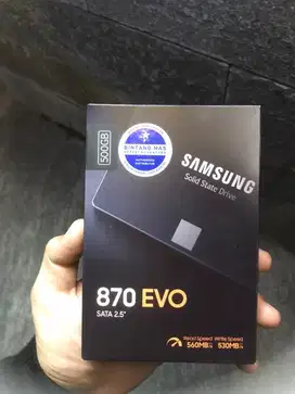 Jual SSD Samsung EVO 500 Gb (SATA)