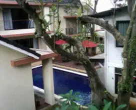 Tropical House Cantik Dengan Kolam Renang di Jl Paso Bisa untuk Kantor
