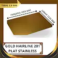 Plate Hairline Gold 0.8 4x10 201