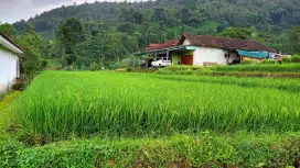 Dijual Rumah di Pacet Mojokerto