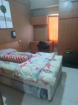 Disewakan Apartemen Pinewood Type studio