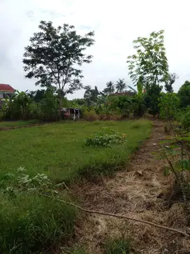 Dijual Tanah Murah di Sardonoharjo, Ngaglik, Sleman, Jalan Kaliurang