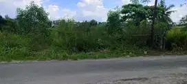 TANAH LUAS 1500m
