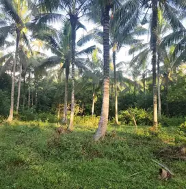 tanah di selemadeg, 10 meter ke pantai surfing, Kontur datar
