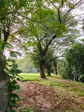 Dijual Cepat Kavling Bukit Golf BSD