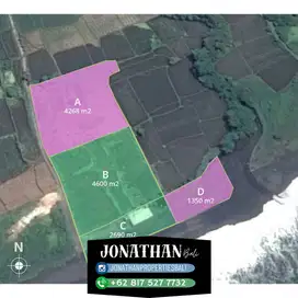 Dijual Tanah beach Front lokasi Gianyar - Lsti