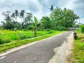 Dijual Sawah Murah di Caturharjo Sleman