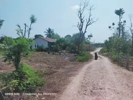 Dijual Murah Tanah Strategis Dekat Airport Lede Kalumbang Tambolaka
