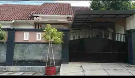 Kutisari