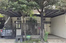 Rumah Palm Spring Regency Surabaya Selatan