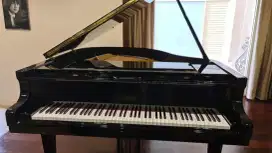 Grand piano petrof
