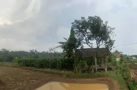 Jual Tanah / Kebun aktif