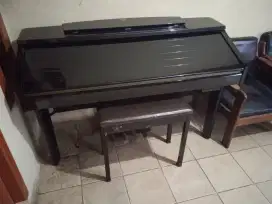 Yamaha Clavinova Cup 209