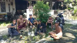 Jasa tebang pohon , potong rumput dan jasa angkut area semarang