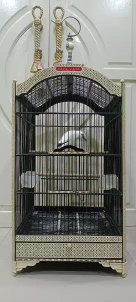Kandang Ebod sangkar Ebod no.1 akrilik