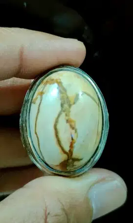 BATU AKIK NATURAL FOSIL KELOR PUTIH PAMOR LAM ALIF UJI LOLOS DOR