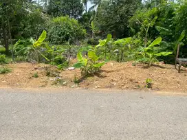 Tanah luas 140.M.padat pinggir jln aspal gp bayu belakang kantorsamsat