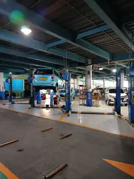 Lowongan Driver Bluebird Surabaya