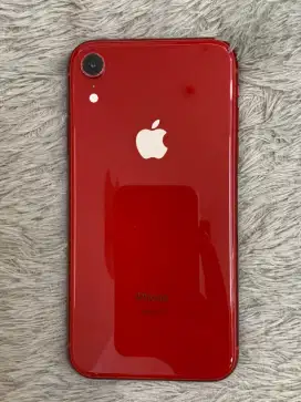 Iphone Xr 64gb inter LL/A