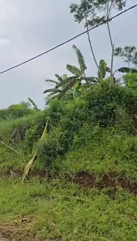 Jual Kavling di Padalarang Bandung Barat, Sebelah Perum.Techno Regency