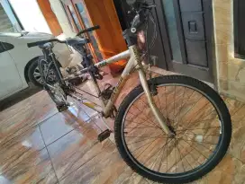 Jual sepeda tandem merk Polygon  Impression AX