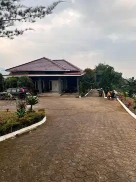 Di jual cepat vila dan kebun surat SHM luas tanah 13000 mtr di Cipanas