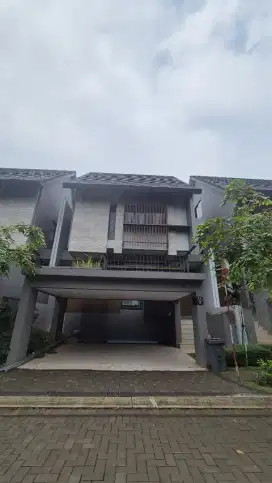 quantis signature bsd city