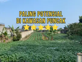 Tanah SHM 2000 m² Akses Mobil & Bus, Lokasi Strategis Puncak Bogor!