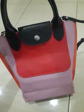 Longchamp Multi Colour