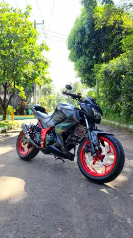 Kawasaki Z250 FI 2013