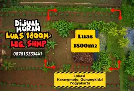 Dijual Tanah Murah SHMp, Luas 1800m² Harga 135 Jt Lokasi Gunungkidul
