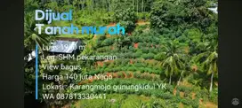 Dijual Tanah Murah Luas 1950m², SHMP, Harga 140 juta nego