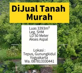 Dijual Tanah Jalur wisata Pantai Luas 3393m² 155 juta Lokasi Tepus, GK