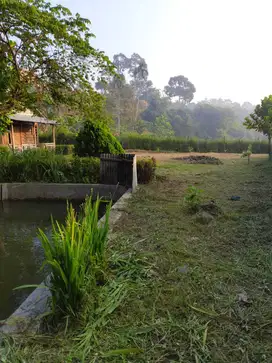 Jual Cepat Tanah Kebun Cocok Untuk Staycation di Cijeruk Bogor