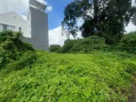 Tanah Luasan Kecil mas Ubud