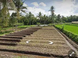 Dijual Murah Tanah SHM View Gunung Merapi