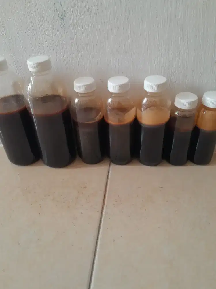 Madu hutan akasia