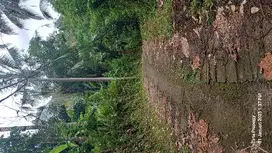 Dijual tanah kebun