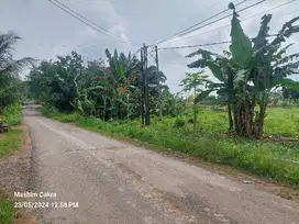 TANAH DI JUAL DEKAT KAMPUS ITERA