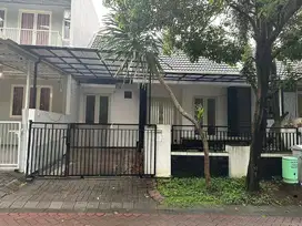 Disewakan Rumah 1lt Minimalis Di Alam Hijau Citraland Surabaya