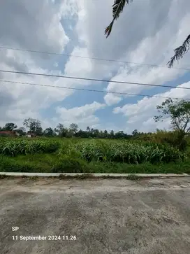 TANAH CANTIK STRATEGIS - SUBUR BANGET AREA KULINERAN DI PAKEM SLEMAN