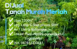 Tanah Murah Luas 1200m² Harga 55 juta Lokasi Gunungkidul, Yogyakarta.