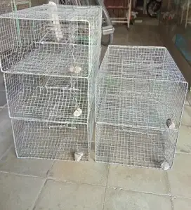 Perangkap tikus ciamik