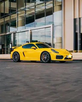 Porsche Cayman GT4 Coupe  2016