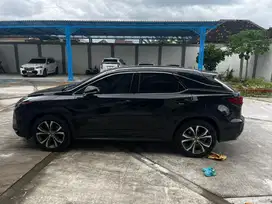 LEXUS RX300 LUXURY NIK 2019